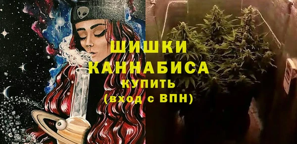 стафф Дмитриев
