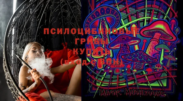стафф Дмитриев