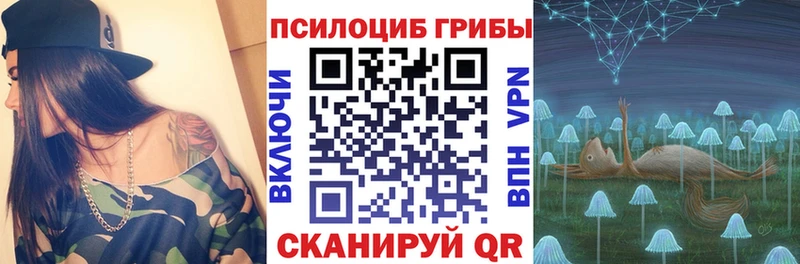 Псилоцибиновые грибы Psilocybe  Купить закладки  Югорск 
