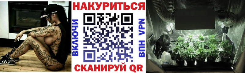 Каннабис конопля Югорск